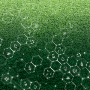 NPK Molecule Image