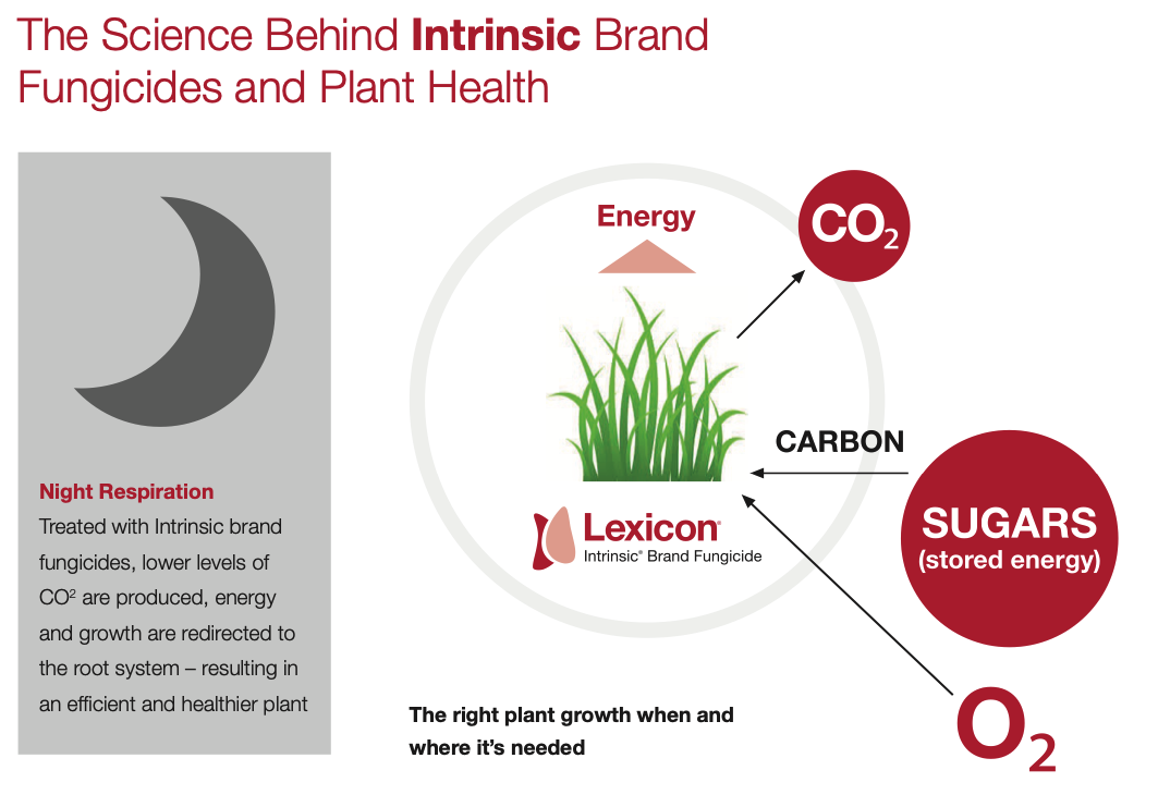 Intrinsic Funcidies diagram Intrinsic fungicides diagram