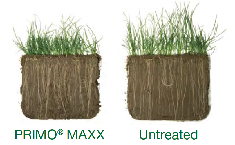 Primo Maxx diagram Primo Maxx treated versus untreated diagram