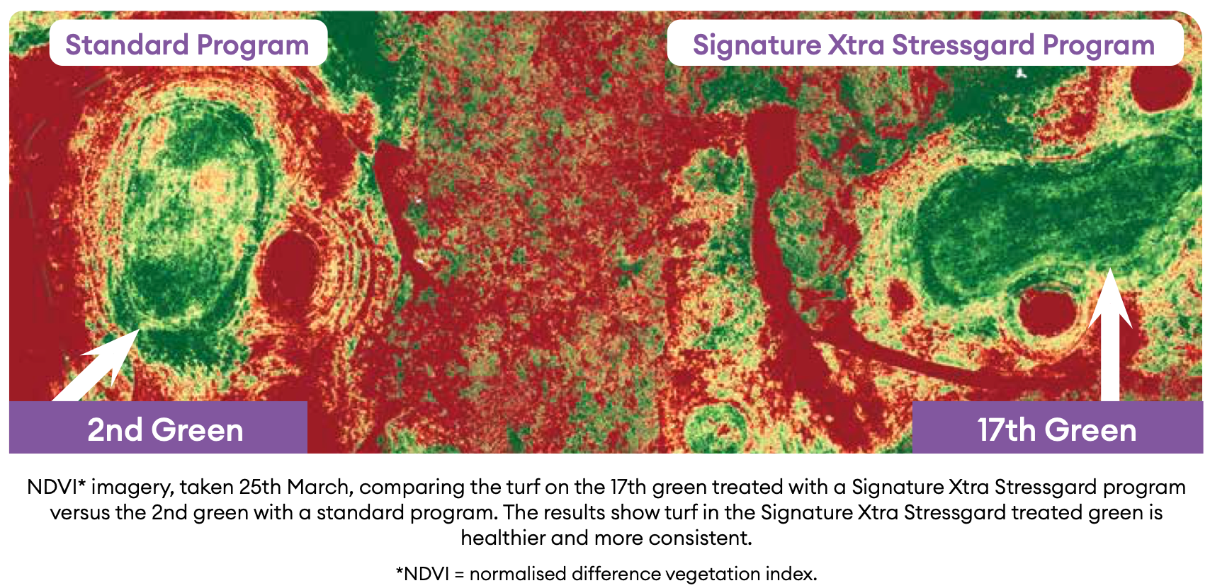 Signature Xtra diagram Signature Xtra diagram