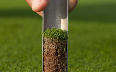 Time to Test: Ensuring Turf & Soil Health with Soil Analysis 