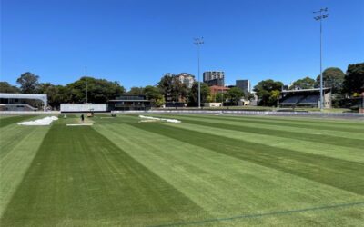 Navigating the Season: A Strategic Guide to Sportsfield Transitioning