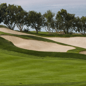 golf course
